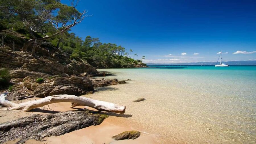 Bormes-les-Mimosas: Hybrid boat trip to Porquerolles Island - Practical Tips for a Smooth Experience