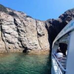 Bormes-les-Mimosas: Sea trip in the heart of Port-Cros National Park - The Experience in Action: What Reviewers Say