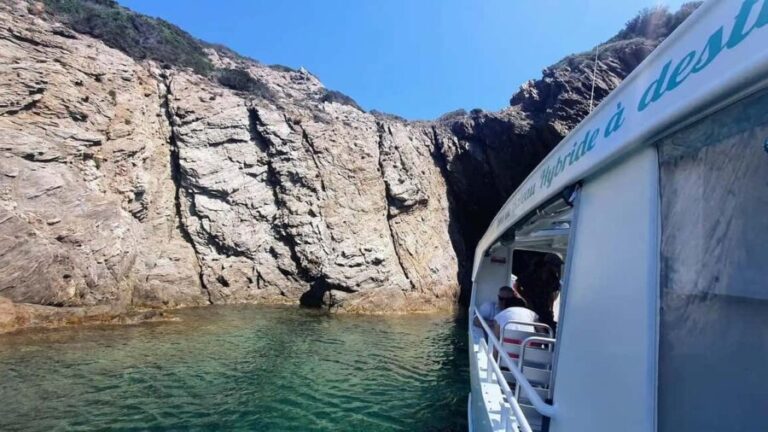 Bormes-les-Mimosas: Sea trip in the heart of Port-Cros National Park - The Experience in Action: What Reviewers Say