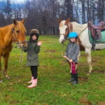 Borovets: Horse Riding Experience - What You Can Expect from the Borovets Horse Riding Experience