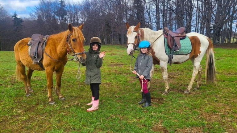 Borovets: Horse Riding Experience - What You Can Expect from the Borovets Horse Riding Experience