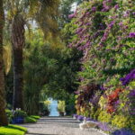 Borromean Islands: Isola Madre Open-Date Entry Ticket - Inside the Palazzo Borromeo