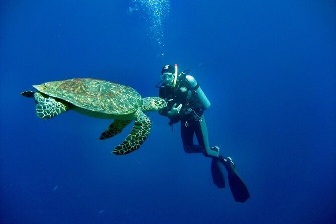 Bosa Diving Baptism - The Practicalities: What You Need to Know