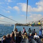 Bosphorus Boat Tour 3 Hour with Asian Side Stop in Istanbul - Why the Bosphorus Boat Tour is Worth Considering