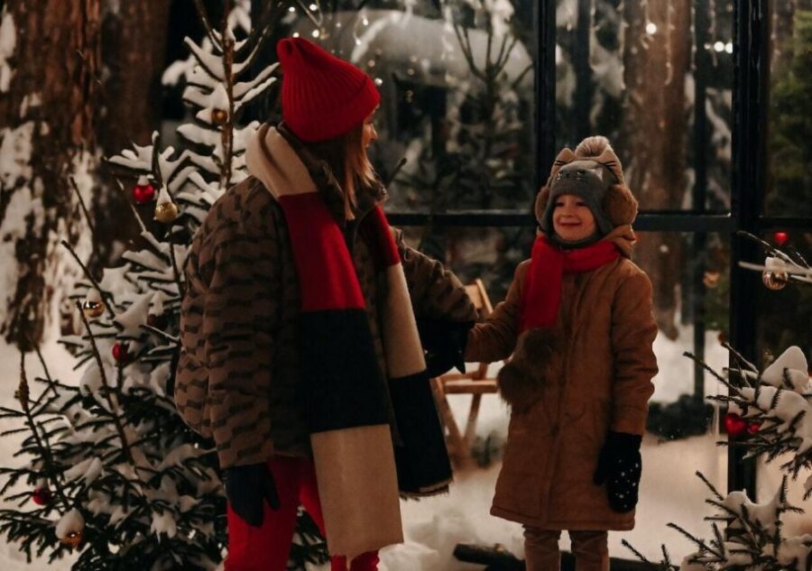 Boston: A Bostonian Christmas Private Tour - Good To Know