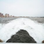 Boston: City Cruises Whale Watching Cruise - Who Will Love This Tour?