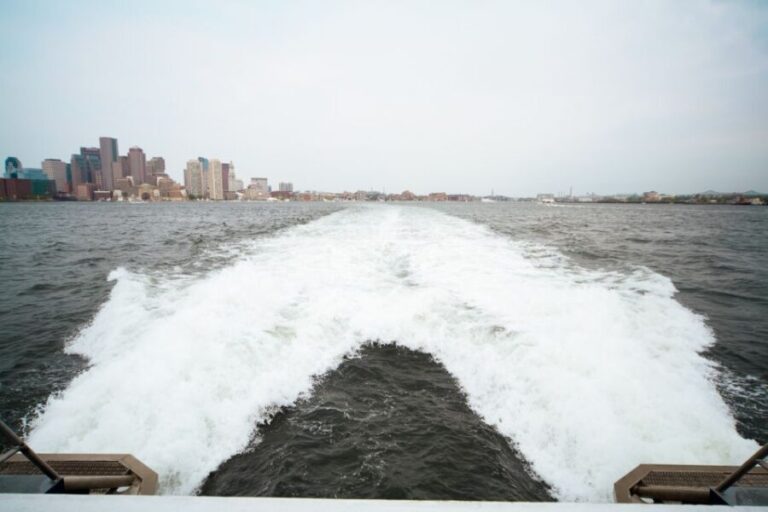 Boston: City Cruises Whale Watching Cruise - Who Will Love This Tour?