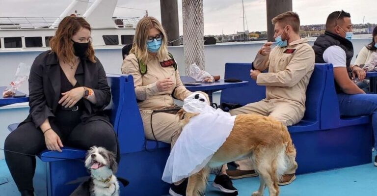 Boston: Dog-Friendly Halloween Costume & Sightseeing Cruise - An In-Depth Look at the Boston Halloween Dog Cruise