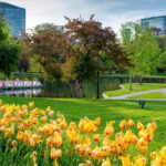 Boston: Votes for Women History Tour of Back Bay - Why This Tour Offers Great Value