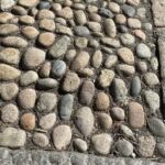 Boston's Beacon Hill: Small Group or Private Walking Tour - Authentic Insights from Past Travelers