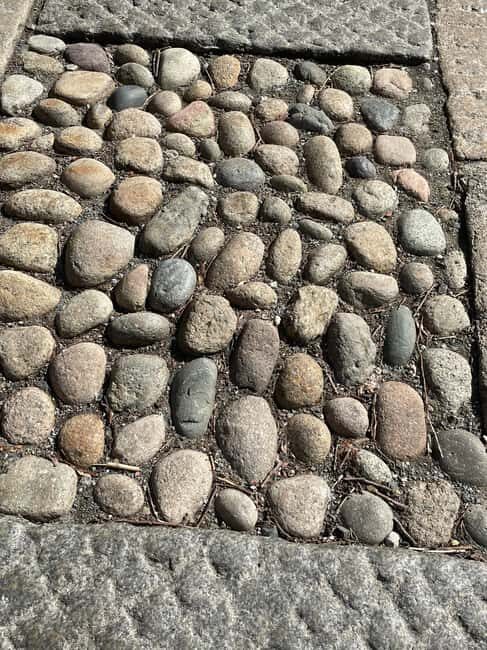 Boston's Beacon Hill: Small Group or Private Walking Tour - Authentic Insights from Past Travelers