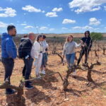 Boutique Rioja Wine Tour with Charming Lunch (From Bilbao) - What Makes This Tour Stand Out?