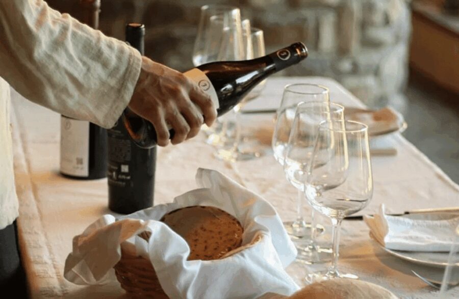 Boutique Winery Tour & Tasting in North Tuscany - The Value of the Experience