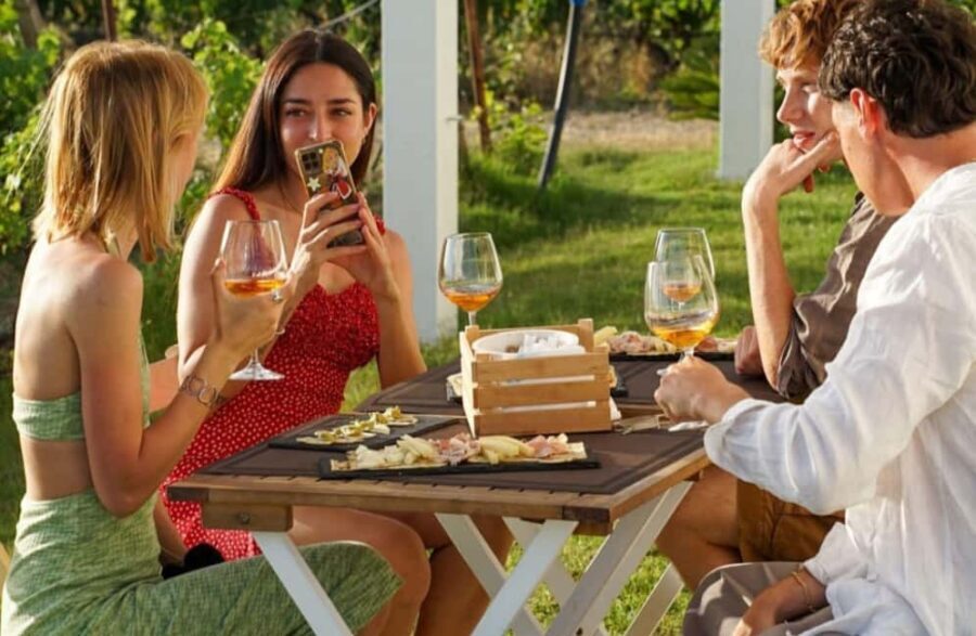 Boutique Winery Tour with Wine & Food Tasting near Cagliari - An in-Depth Look at the Boutique Winery Experience