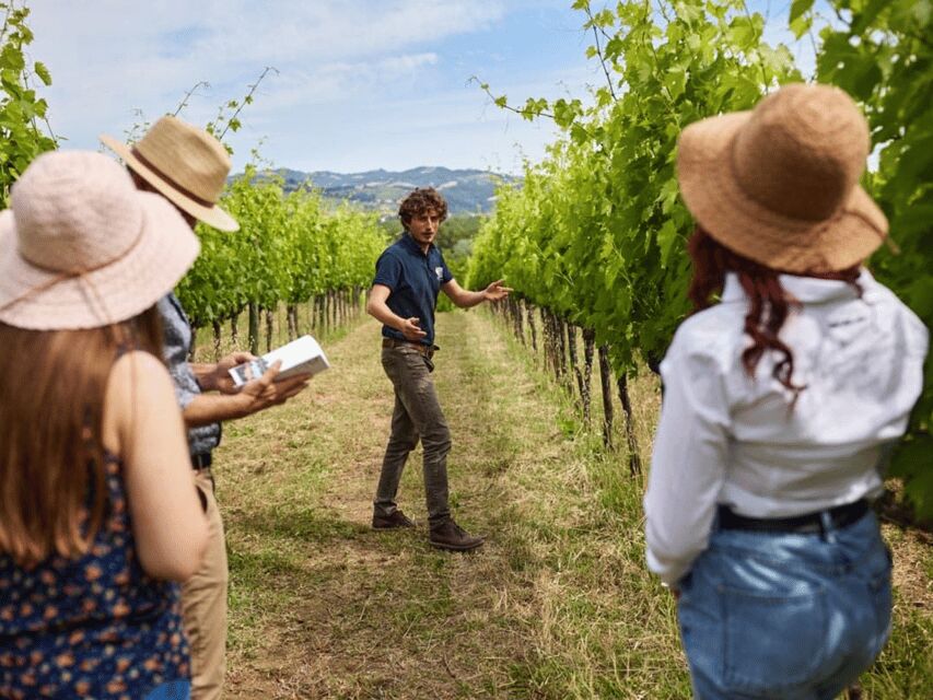 Boutique Winery Visit & 5 Organic Wine Tastings near Urbino - Why This Tour Stands Out