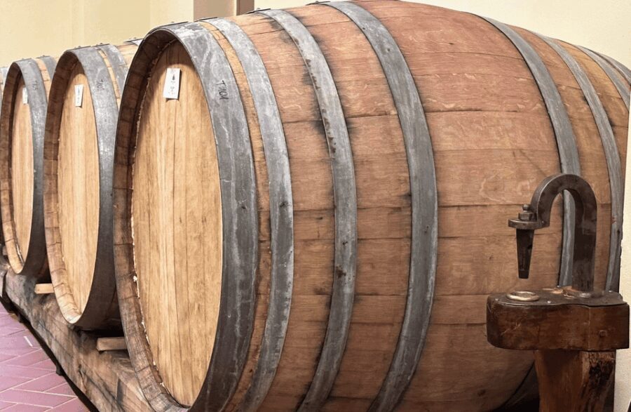 Boutique Winery Visit & Wine Tasting near Arezzo - An In-Depth Look at the Experience