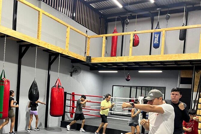 Boxing Puerto Vallarta Experience a day in the ring - The Sum Up