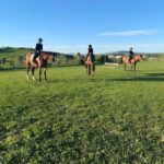 Bracciano: Horseback Ride in the Tolfa Mountains - Why You’ll Love the Horseback Ride in the Tolfa Mountains
