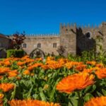 Braga & Guimarães day tour from Porto - What’s Included and Why It Matters