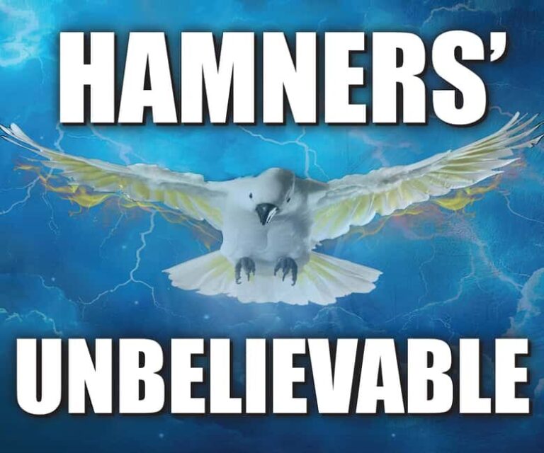 Branson: Hamners' Unbelievable New Year's Eve Extravaganza - Evaluating the Value