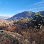 Braovs Secret Tastes & Stories - The Stories That Add Depth to the Experience