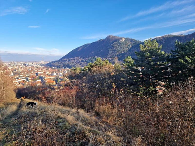 Braovs Secret Tastes & Stories - The Stories That Add Depth to the Experience