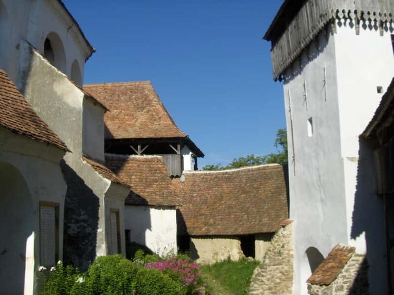 Brasov: Saxon Fortified Churches Day Tour with Guide - Practical Details and Tips