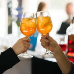 Bratislava - Gabíkovo Roundtrip by boat on the Danube - What to Expect on the Trip