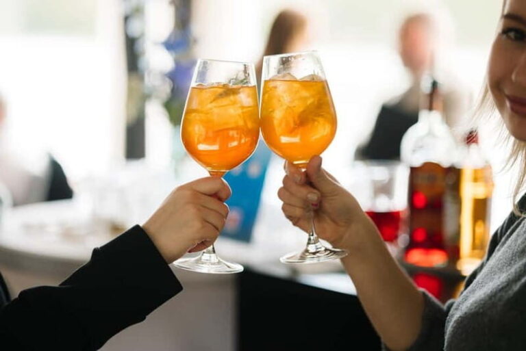 Bratislava - Gabíkovo Roundtrip by boat on the Danube - What to Expect on the Trip