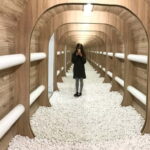 Bratislava: Gallery Multium Entrance Ticket - The Photo Potential