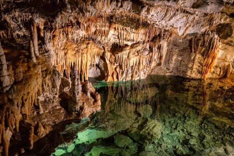 Bratislava: High Tatras, Demänovská Cave & Spi Castle Tour - What to Expect: A Step-by-Step Breakdown