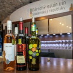 Bratislava: Slovakian Wine Tasting Experience - How the Itinerary Unfolds