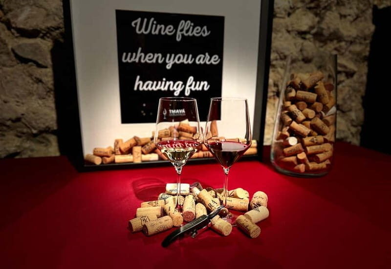 Bratislava: Wine Tasting Experience in the Dark - Practical Details and Value