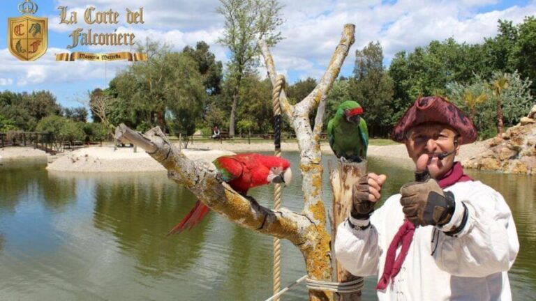 Breakfast with Parrots at Masseria mazzetta with wildlife park - An Introduction to the Experience