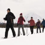 Breivikeidet: Cross-Country Skiing & Husky Visit - Itinerary Breakdown