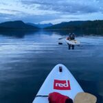 Brentwood Bay: Bioluminescence & Sunset Paddleboard Tour - Good To Know