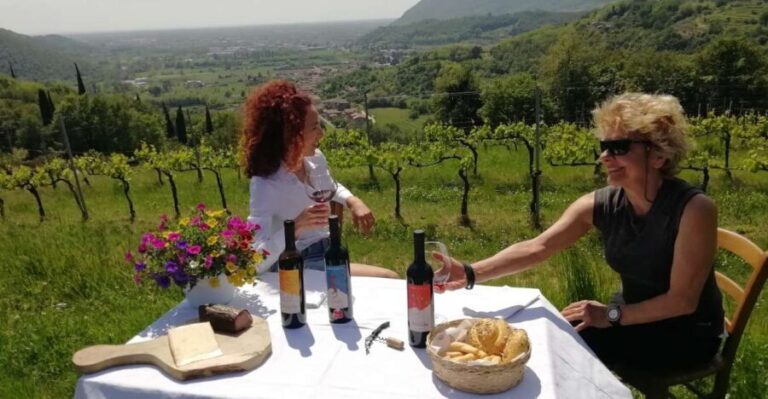 Brescia: day trip to Botticino with wine tasting at Noventa - Why You Should Consider This Tour