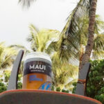 Brewery and Beach cruise in a Vintage VW Bus - Exploring the Itinerary in Detail