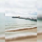 Brighton: Zip Wire Experience Ticket and Transfer - What Does the Experience Include?