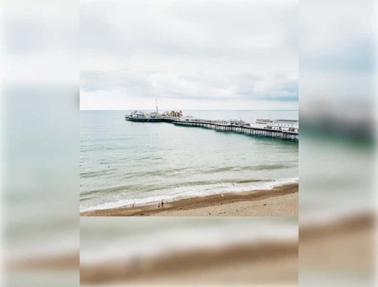 Brighton: Zip Wire Experience Ticket and Transfer - What Does the Experience Include?