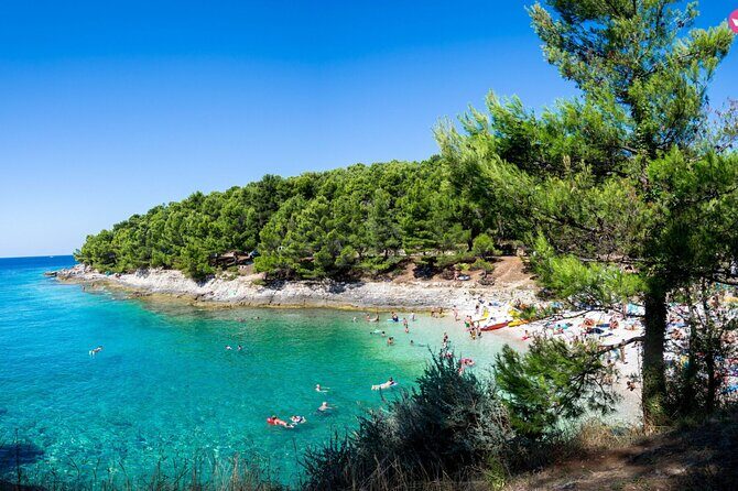 Brijuni Dolphin and Sunset Boat Tour from Pula - Practical Details and Value