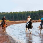 Brudenell: Family-Friendly Horse Ride goes on the Beach - The Experience in Detail