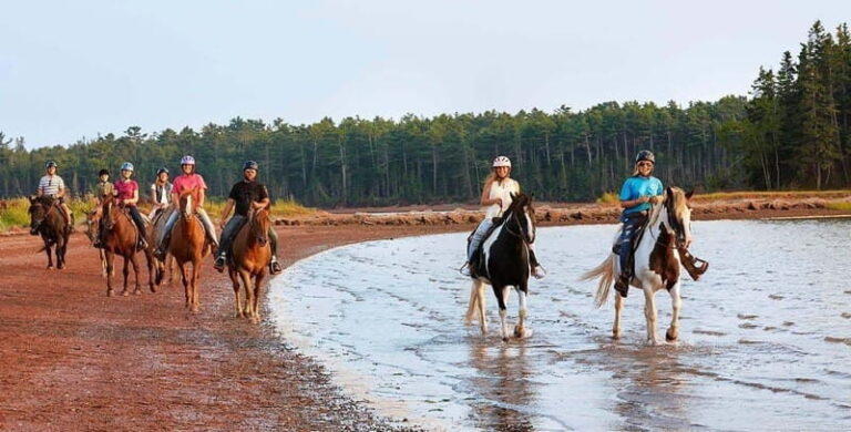 Brudenell: Family-Friendly Horse Ride goes on the Beach - The Experience in Detail