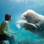 Brugelette: Pairi Daiza Zoo Entry Ticket - The Themed Worlds: A Closer Look