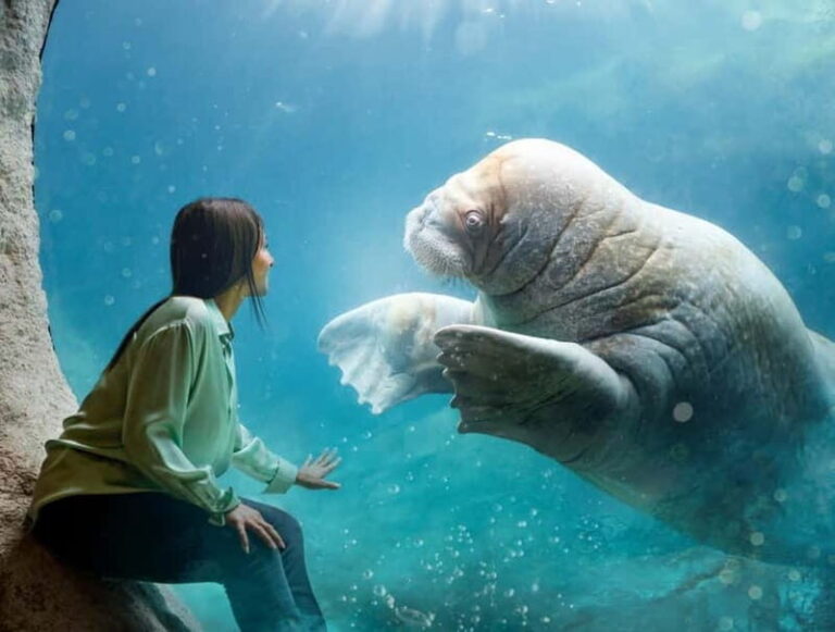 Brugelette: Pairi Daiza Zoo Entry Ticket - The Themed Worlds: A Closer Look