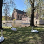 Bruges: highlights & hidden gems - private tour 2 hours - Deep Dive into the Itinerary and Experience