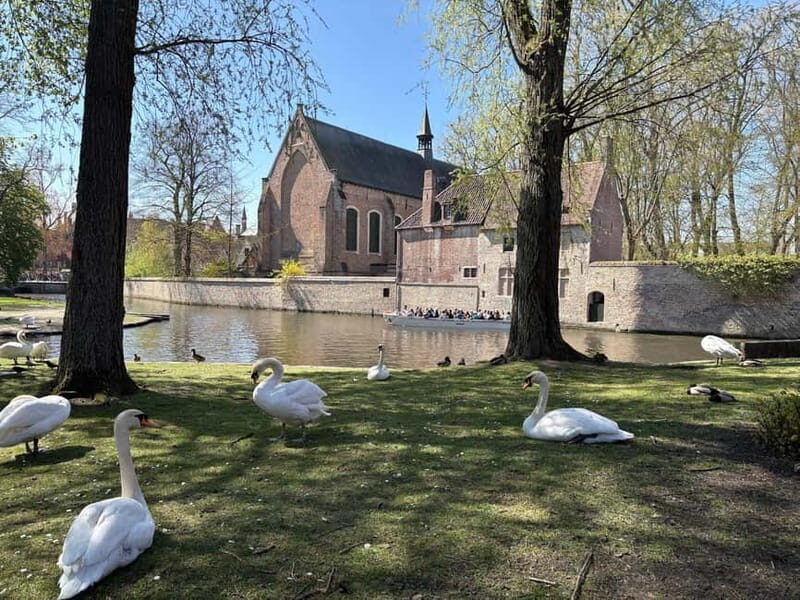 Bruges: highlights & hidden gems - private tour 2 hours - Deep Dive into the Itinerary and Experience
