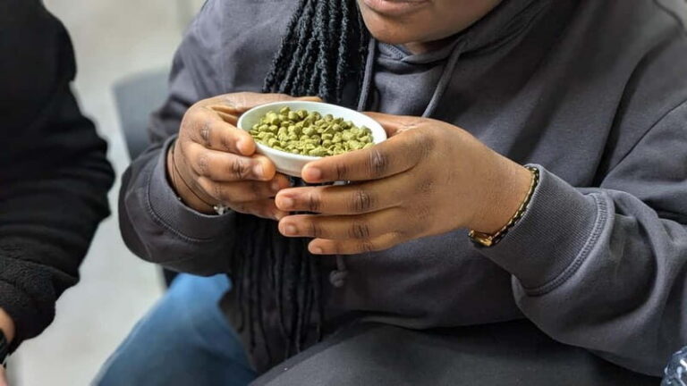 Brussels: beer tasting workshop in a micro brewery - Introduction: What You Can Expect from This Belgian Beer Workshop