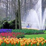 Brussels: Full Day Holland Keukenhof & Windmills Guided Tour - Authentic Experiences That Stand Out