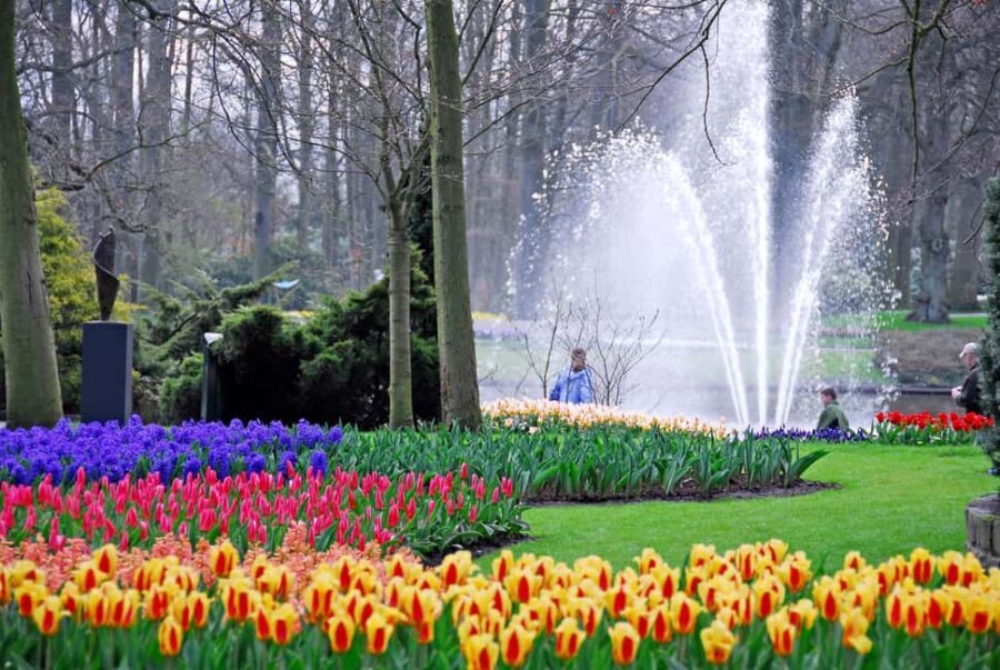 Brussels: Full Day Holland Keukenhof & Windmills Guided Tour - Authentic Experiences That Stand Out
